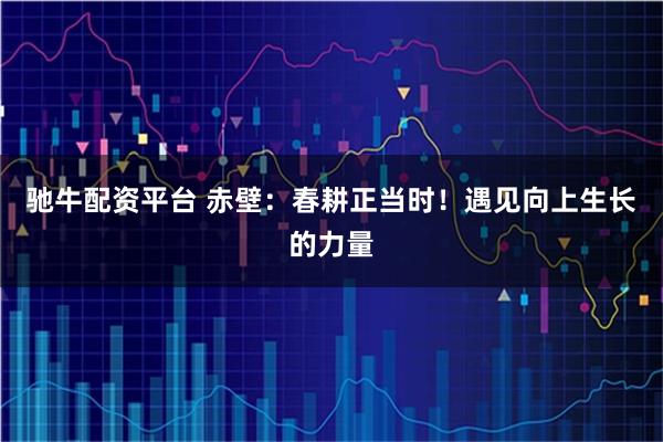 驰牛配资平台 赤壁：春耕正当时！遇见向上生长的力量