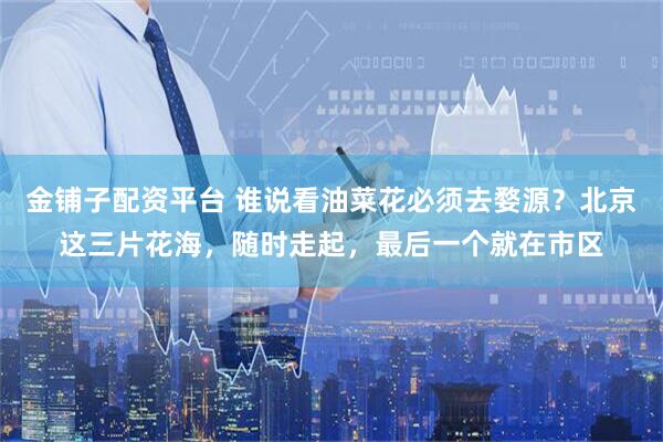 金铺子配资平台 谁说看油菜花必须去婺源？北京这三片花海，随时走起，最后一个就在市区